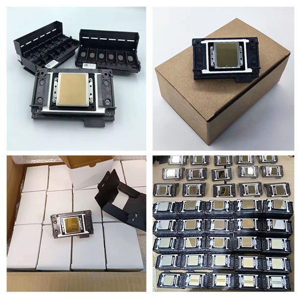 Cabeça de impressão Epson DX11